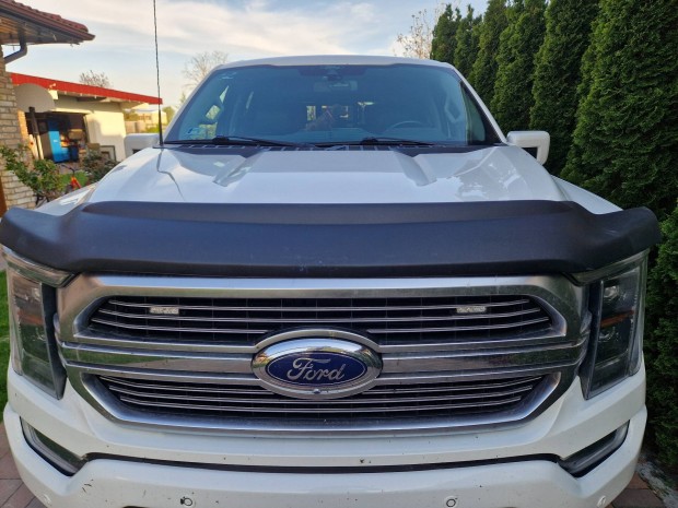 Ford F150 Bogrved Bajusz 