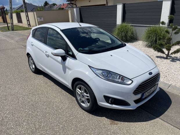 Ford Fiesta 1.0 benzin, els tulaj vgig vezetett szervzknyv