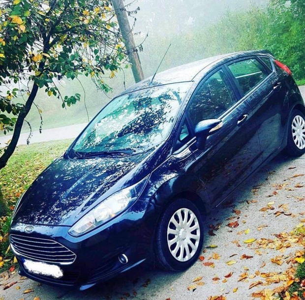 Ford Fiesta 1.4 Titanium Magyar!Akr 1v Garanc...