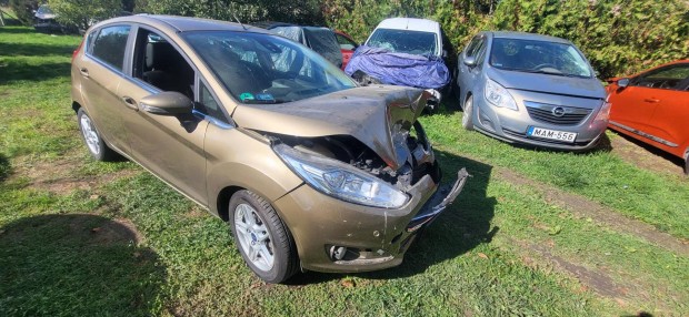 Ford Fiesta 1.6 TDCi Titanium 98476km!