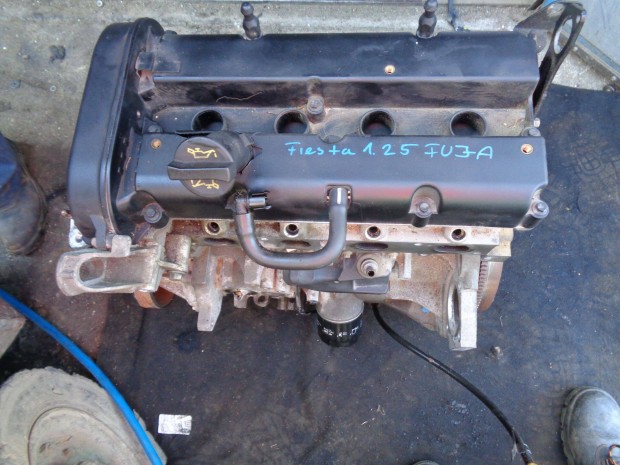 Ford Fiesta Mk6 1.25 motor