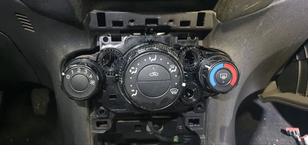Ford Fiesta mk8 fts panel