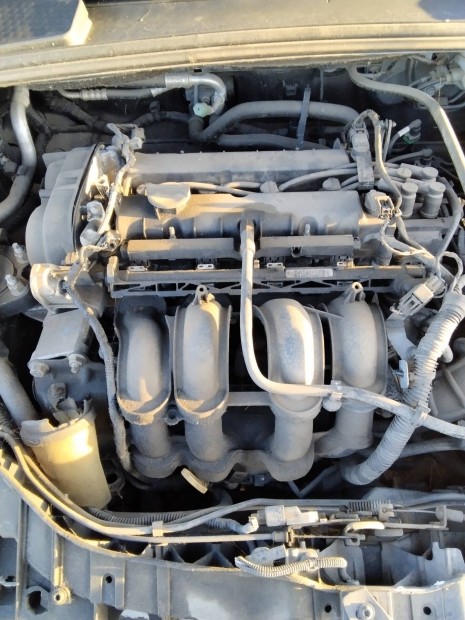 Ford Focus III 1.6 motor Pnddjs 