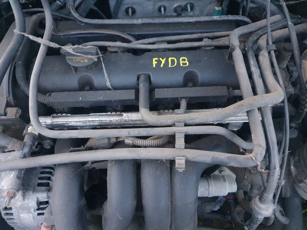 Ford Focus I-es 1.6 16v motor Fydb.