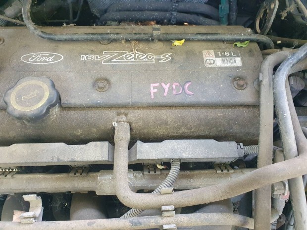 Ford Focus I-es 1.6 16v motor Fydc.