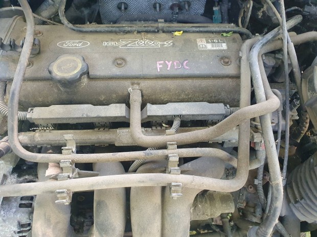 Ford Focus I-es 1.6 16v motor Fydc.