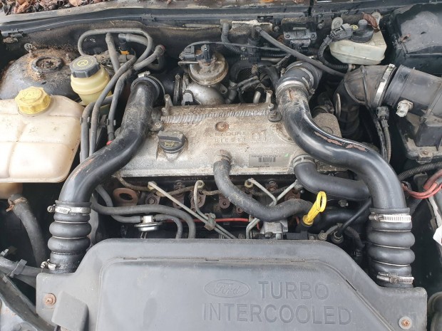 Ford Focus I-es  Connect 1.8D.i motor C9DB.