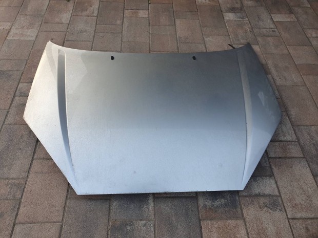 Ford Focus I-es motorh�ztet�.