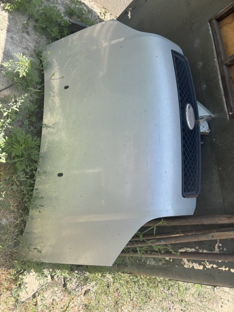 Ford Fusion Motorhztet