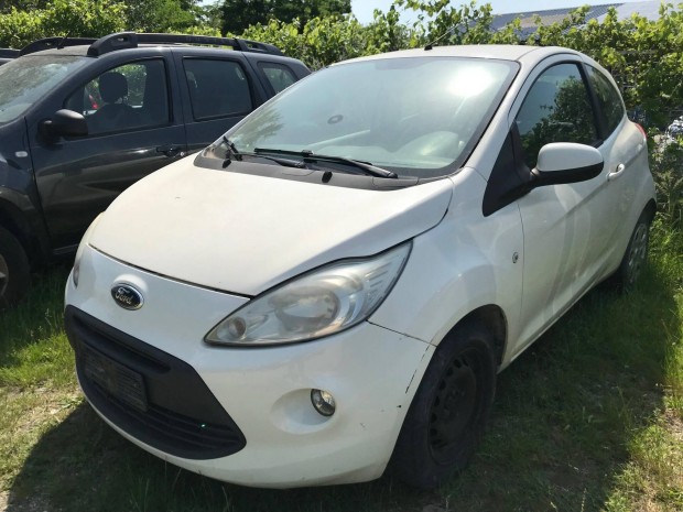Ford KA 1.3 TDCi DPF Champions Motorhibás!