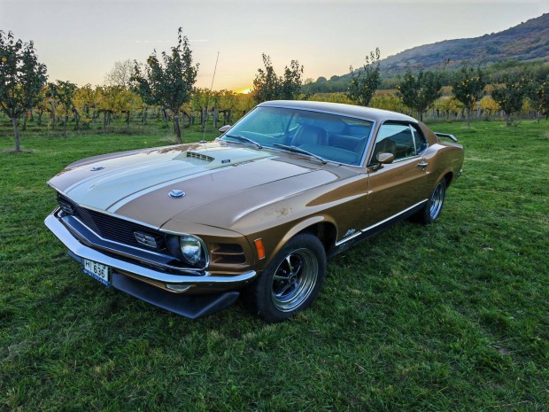 Ford Mustang Mach 1 Sportsroof