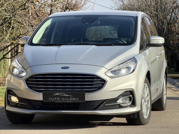 Ford S-Max 2.0 Ecoblue Titanium (Automata) 27%...