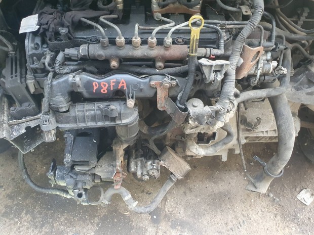 Ford Transit 2.2Tdci motor P8Fa.