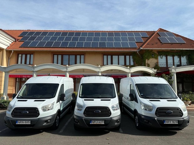 Ford Transit 2.2 TDCi 350 LWB Trend AWD 4X4-ss...