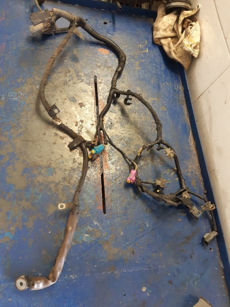 Ford Transit Connect Motor K�belk�teg