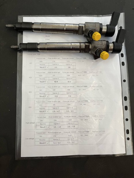 Ford, Citroen, Peugeot 2.2 Siemens injector