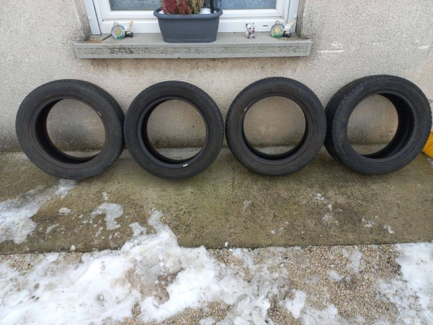 Fortune 205/55-R16 T�ligumi