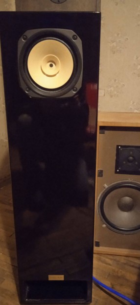 Fostex FE 166E