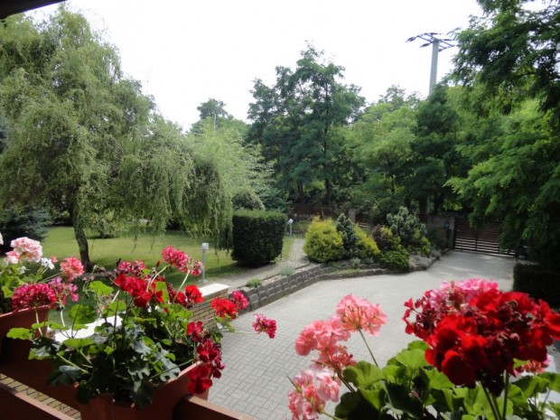 F�t, Sz�r�skert utca, 300 m2-es, csal�di h�z, 5 szob�s, fel�j�tott /