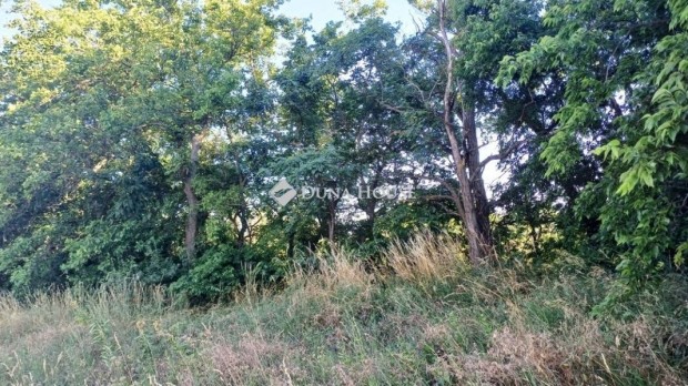 F�ti 22155 nm-es telek elad�