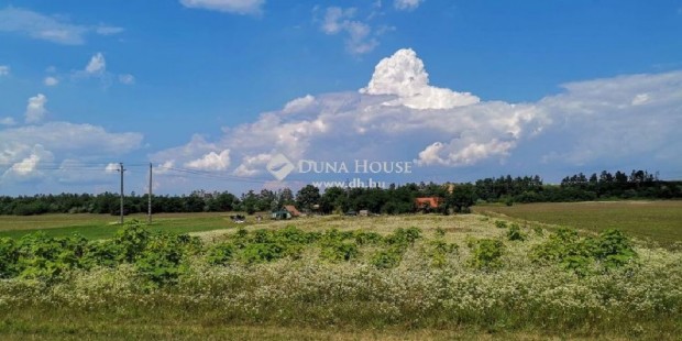 F�ti elad� 10000 nm-es telek