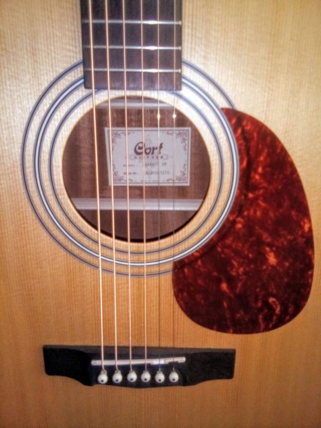 Foundation in Cort Earth 70 Op Handcrafted Acoustics gitr 