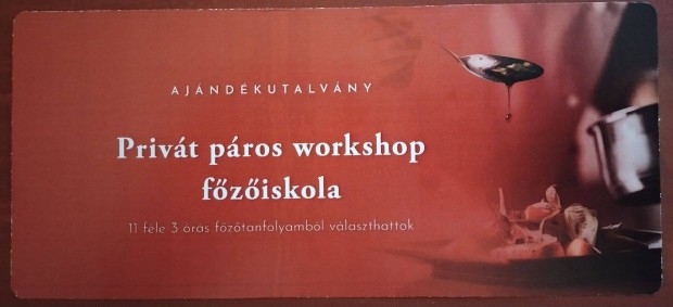 Fziskola workshop