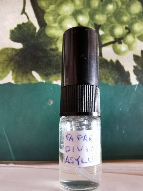 Fragrance World - Divin Asylum parfm minta 1.5ml