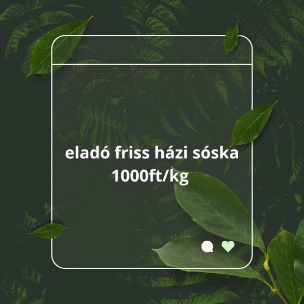 Friss hzi sska