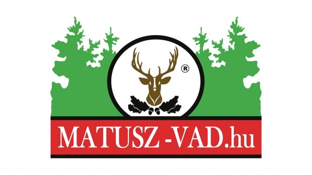 Frontend fejlesztőt keresünk győri/budapesti munkavégzéssel!