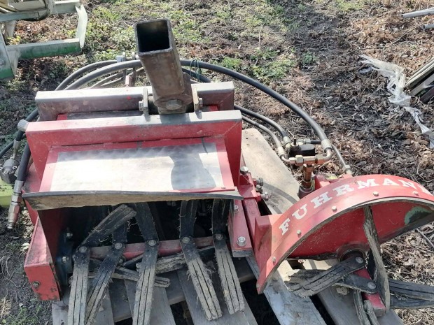 Fuhrmann sz�l� t�rzstiszt�t�