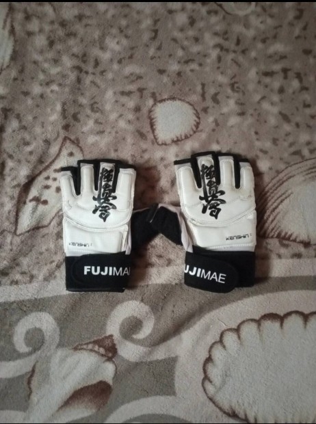Fujimae zskol keszty 