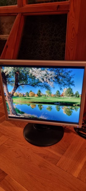 Fujitsu siemens 17"LCD monitor 