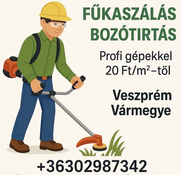 Fkaszls | Boztirts 