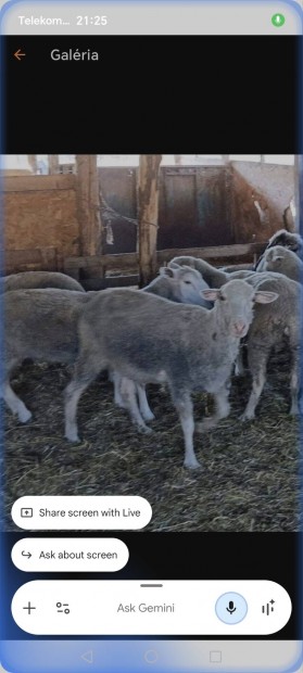 F�ny�r�nak keresek.