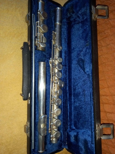 Fuvola Melody Makep Foreign