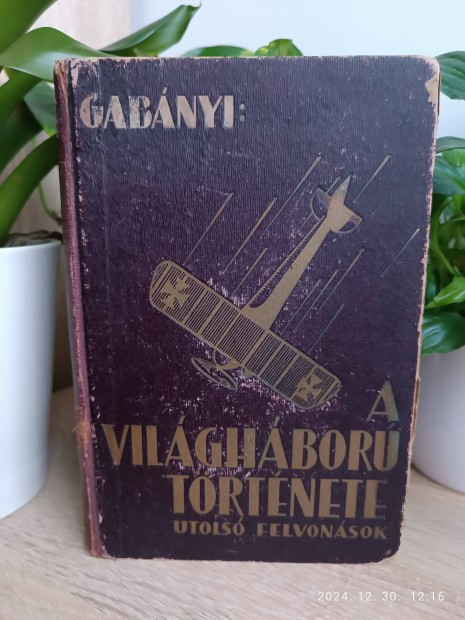 Gabnyi: A vilghbor trtnete 