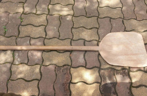 Gabonaszr lapt