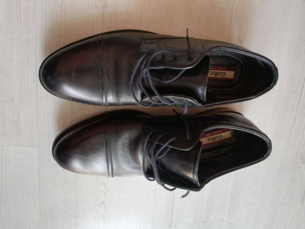 Gallus frfi flcip 43 as