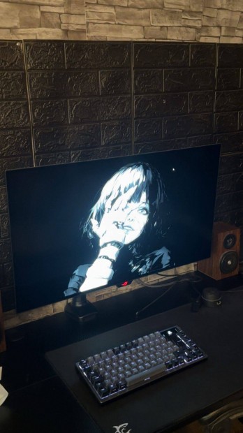 Gamer monitor