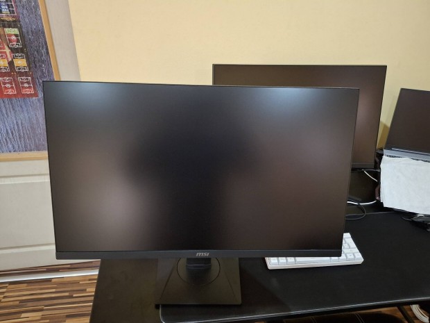 Gamer monitor