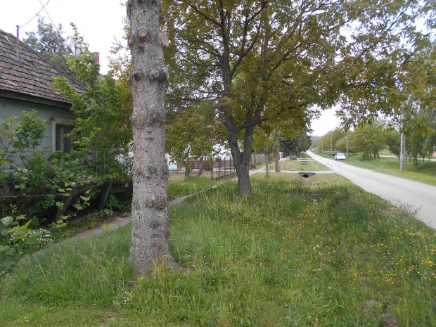 Garabonci csal�di h�z, egy igazi J�fog�s!