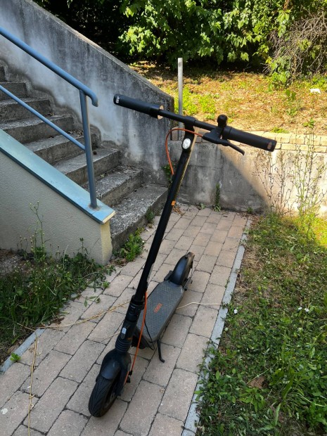 Garancilis Segway Ninebot Kickscooter F2 Pro