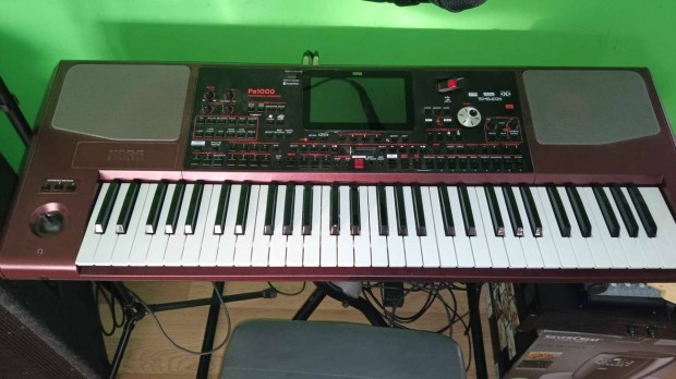 Garancilis korg Pa1000