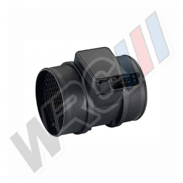 Garancis, Lgtmegmr Citroen Berlingo 1.9D Jumper 2.2 HDI 5WK9623
