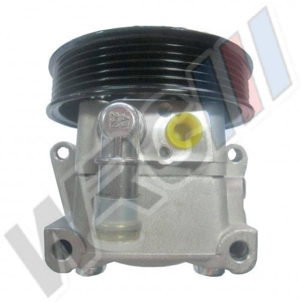 Garancis, Szervszivatty Ford Focus II 1742491