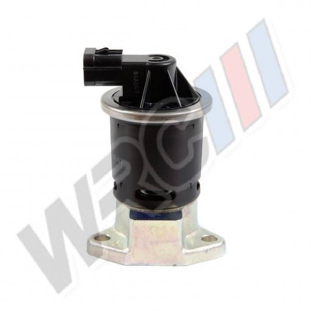 Garancival, EGR Szelep Chevrolet Lacetti,Rezzo 96253548