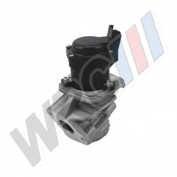 Garancival, EGR szelep Citroen C1 C2 C3 Nemo 1.4 HDI 700413