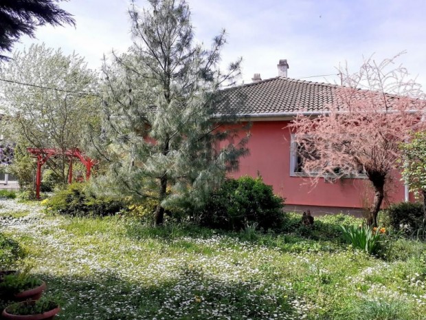 Gárdonyi 150 nm-es ház eladó