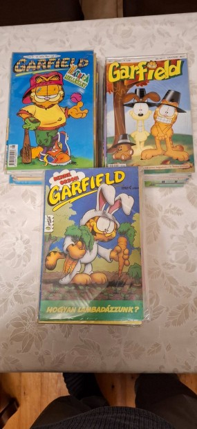 Garfield kpregny